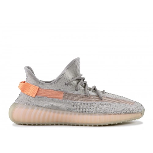 Yeezy Boost 350 V2 True Form 2019