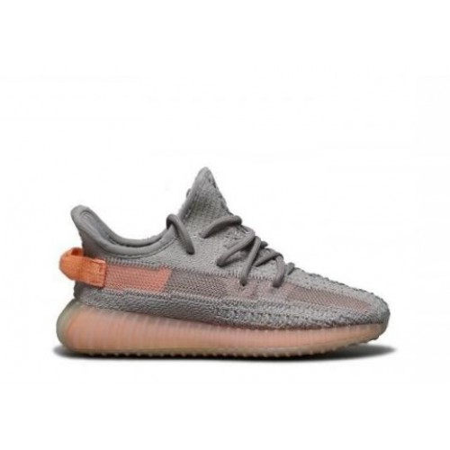 Adidas Yeezy Boost 350 V2 True Form KID