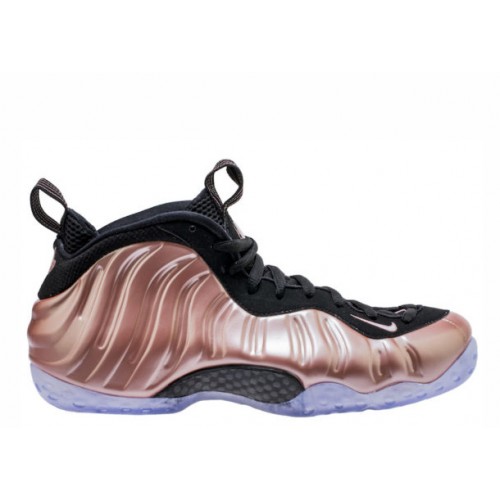 2018 Air Foamposite One Elemental Rose