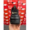 2018 Air Foamposite Pro “Black/Metallic Gold” 624041-800