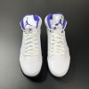 Air Jordan 5 Concord 2022